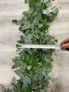 Fresh Garland Italian Ruscus & Eucalyptus Garland // Natural Combo Garland // Wedding Garland // Real Fresh Greenery Garland - CaliforniaFlowerGrowers.com